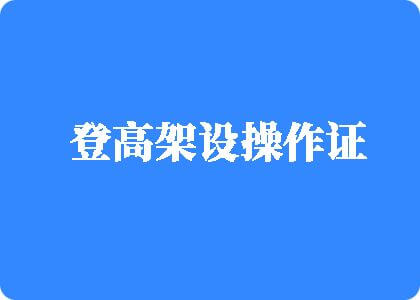 大操骚比登高架设操作证