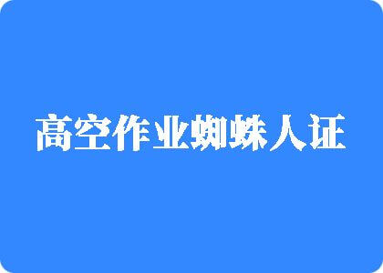 欧美男人大鸡巴插入女逼视频高空作业蜘蛛人证